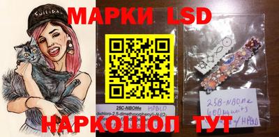 индика Малгобек