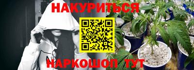 индика Малгобек