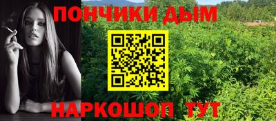 индика Малгобек
