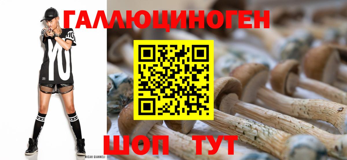 Галлюциногенные грибы Magic Shrooms  Вход с VPN  Аша  Галлюциногенные грибы прущие грибы 
